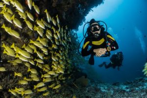 Scuba Diving Krabi